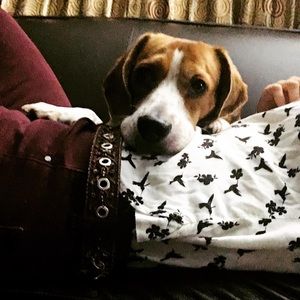 Meet your Posher, Nina